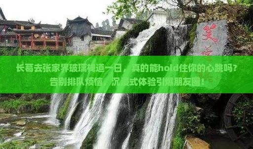 长葛去张家界玻璃栈道一日