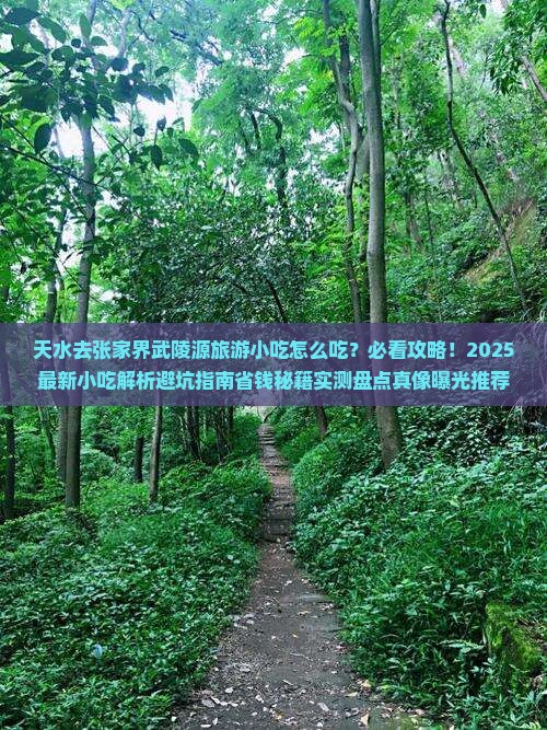天水去张家界武陵源旅游小吃