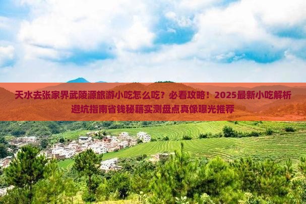 天水去张家界武陵源旅游小吃