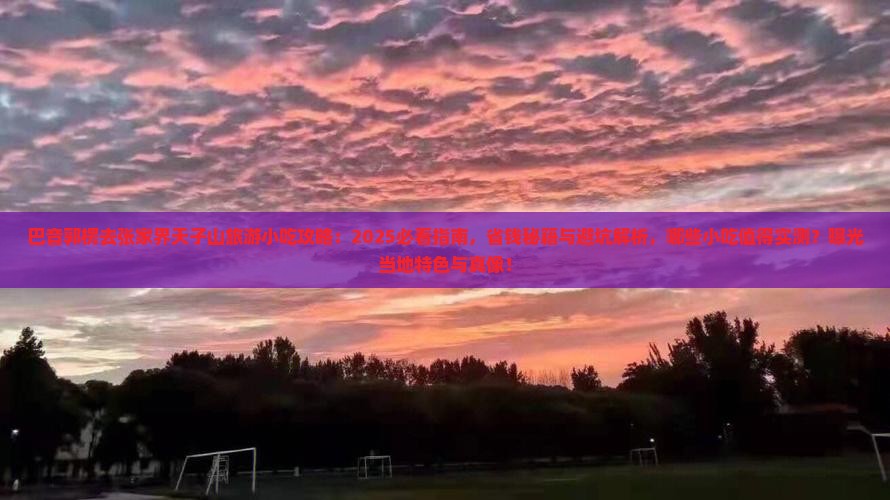 巴音郭楞去张家界天子山旅游小吃
