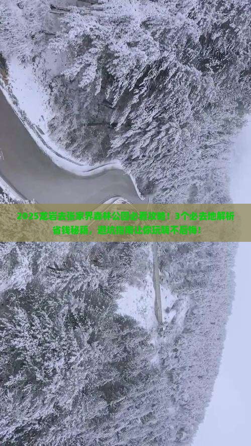 龙岩去张家界森林公园必去地