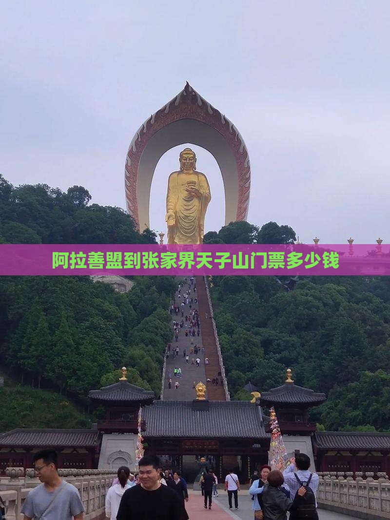阿拉善盟到张家界天子山门票