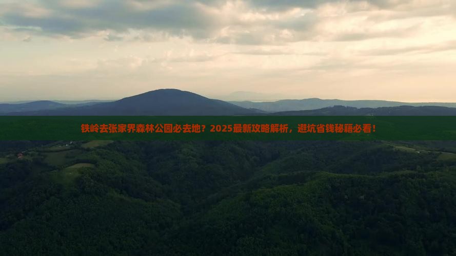 铁岭去张家界森林公园必去地