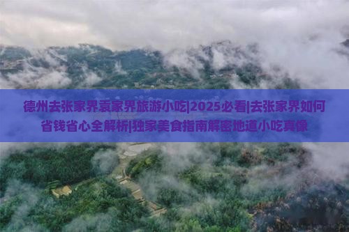 德州去张家界袁家界旅游小吃