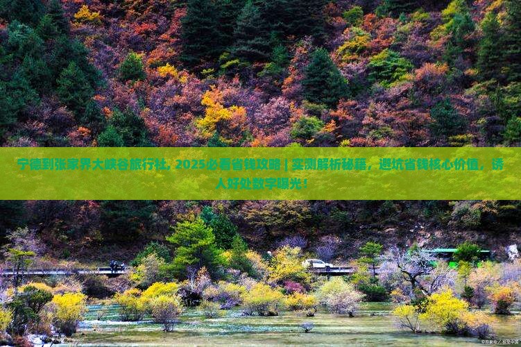 宁德到张家界大峡谷旅行社 宁德到张家界大峡谷旅行社