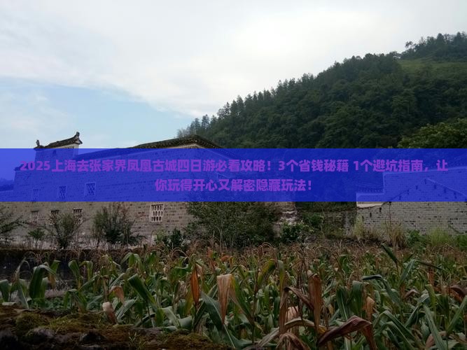 上海去张家界凤凰古城四日游