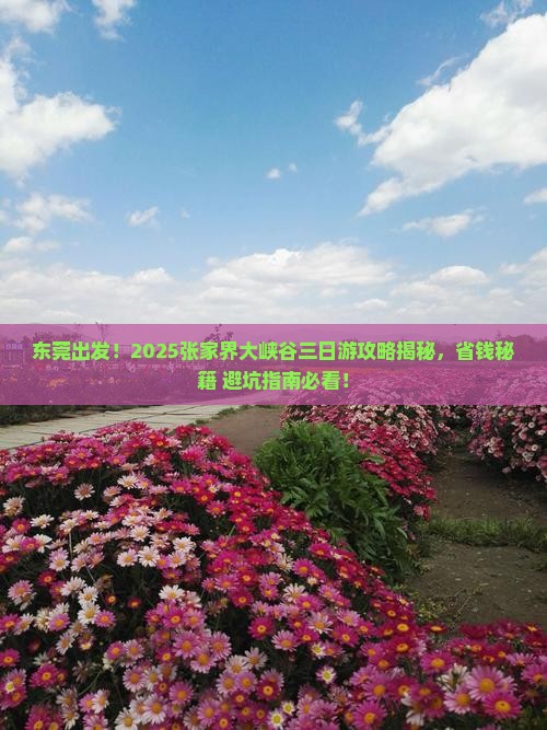 东莞去张家界大峡谷三日游