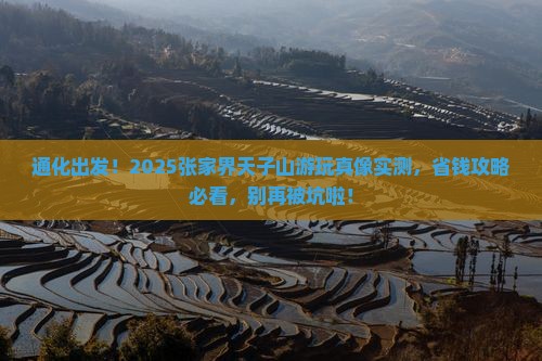 通化去张家界天子山景点