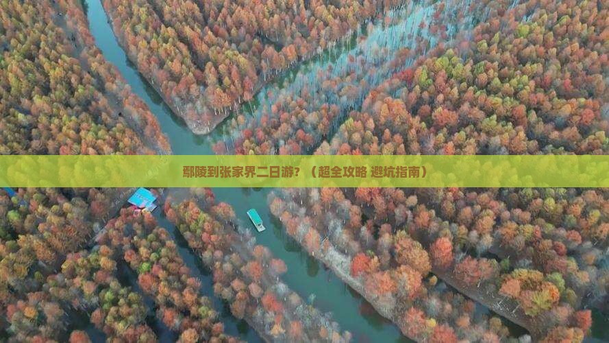 鄢陵县去张家界二日游