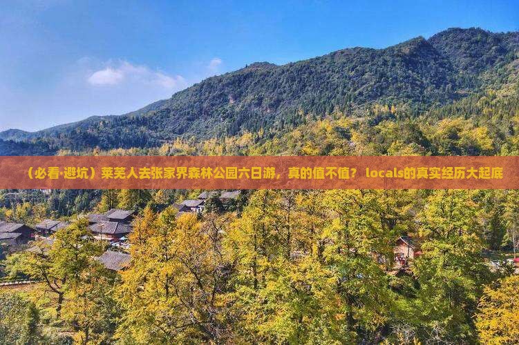 莱芜去张家界森林公园六日游