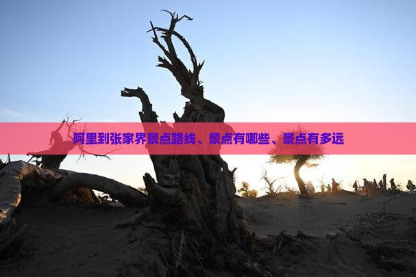 阿里到张家界景点
