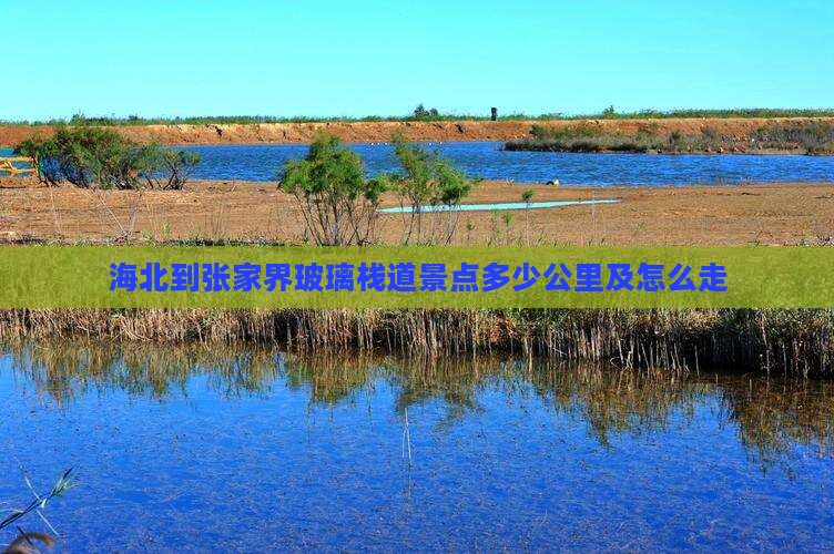 海北到张家界玻璃栈道景点
