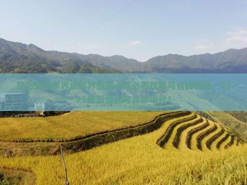 阜阳去张家界袁家界旅游小吃