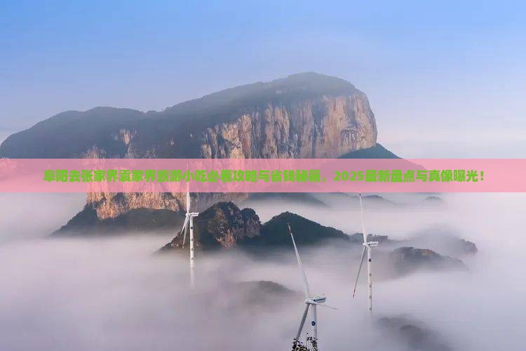 阜阳去张家界袁家界旅游小吃