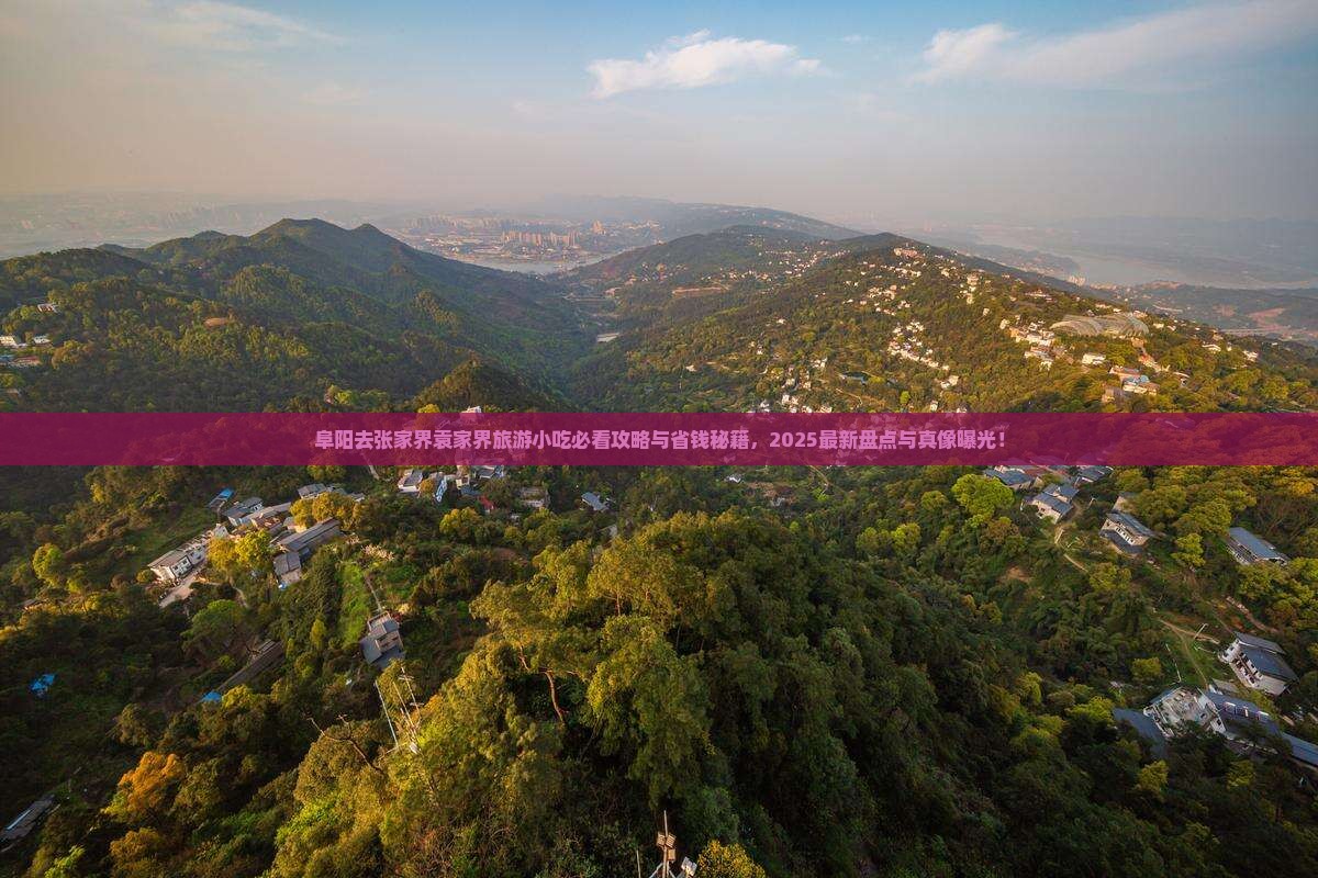 阜阳去张家界袁家界旅游小吃