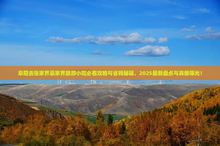 阜阳去张家界袁家界旅游小吃