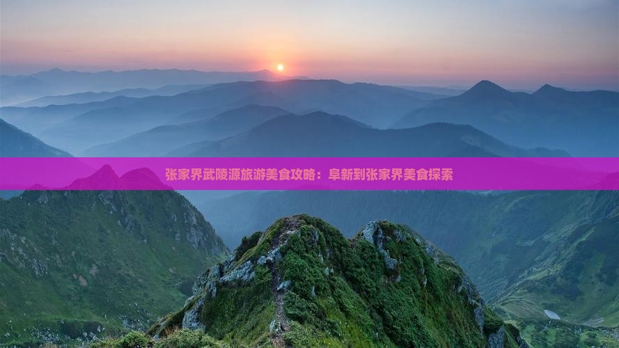 阜新到张家界武陵源旅游小吃