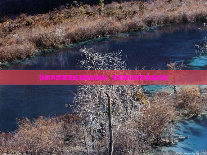 阜新到张家界武陵源旅游小吃
