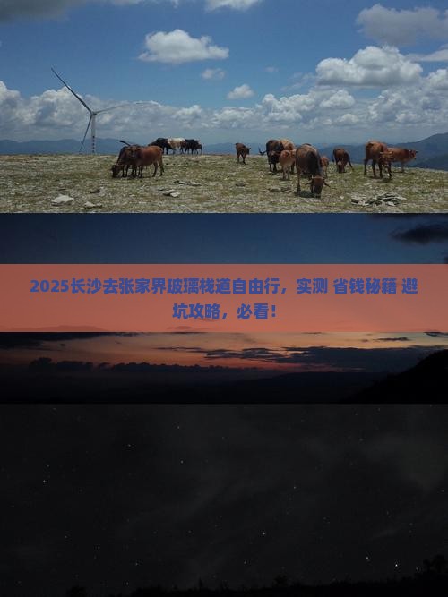 长沙去张家界玻璃栈道自由团