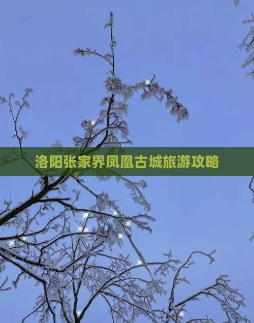洛阳去张家界凤凰古城旅游