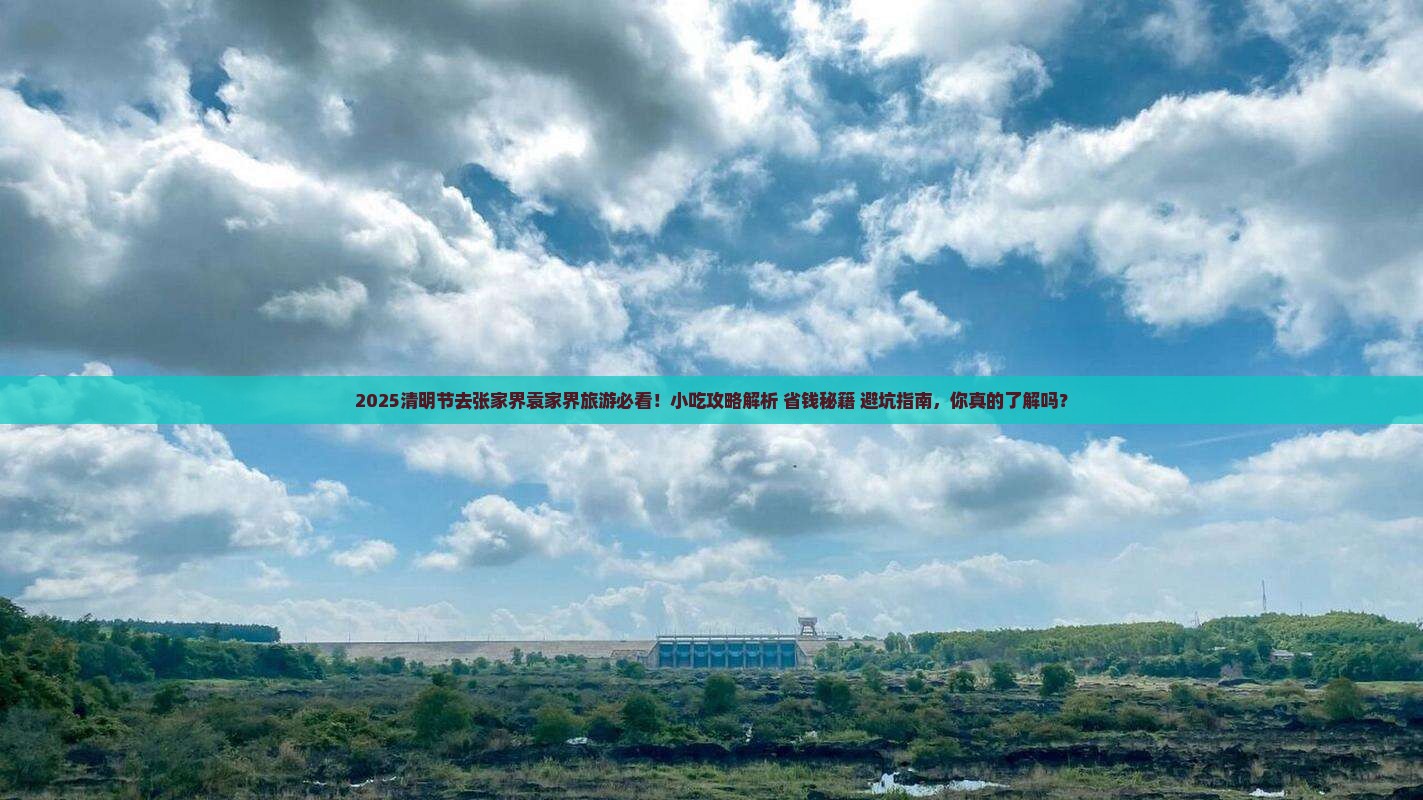清明节到张家界袁家界旅游小吃
