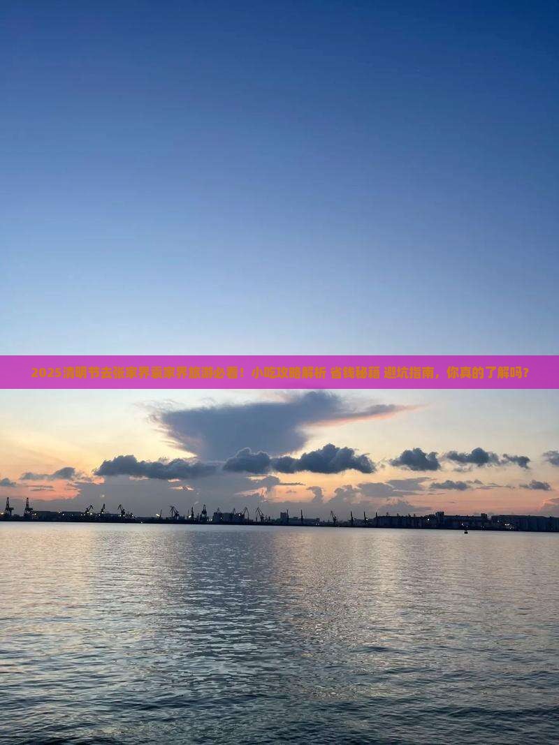 清明节到张家界袁家界旅游小吃