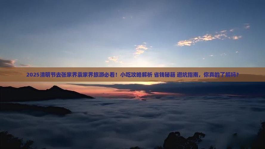 清明节到张家界袁家界旅游小吃
