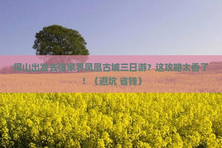 保山到张家界凤凰古城三日游
