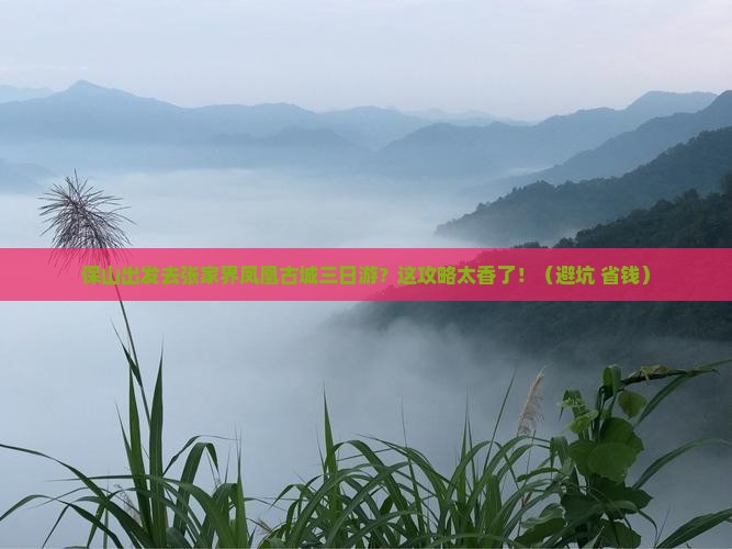 保山到张家界凤凰古城三日游
