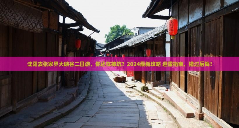 沈阳去张家界大峡谷二日游