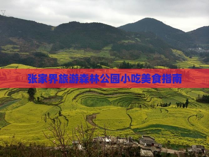 中秋节到张家界森林公园旅游小吃