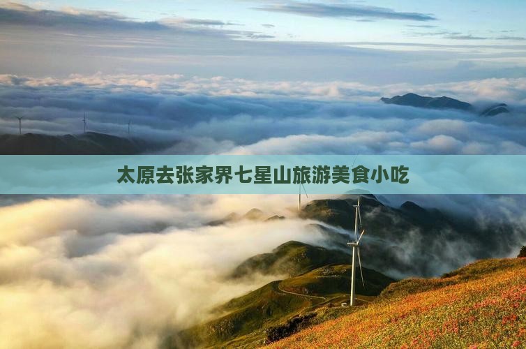 太原去张家界七星山旅游小吃