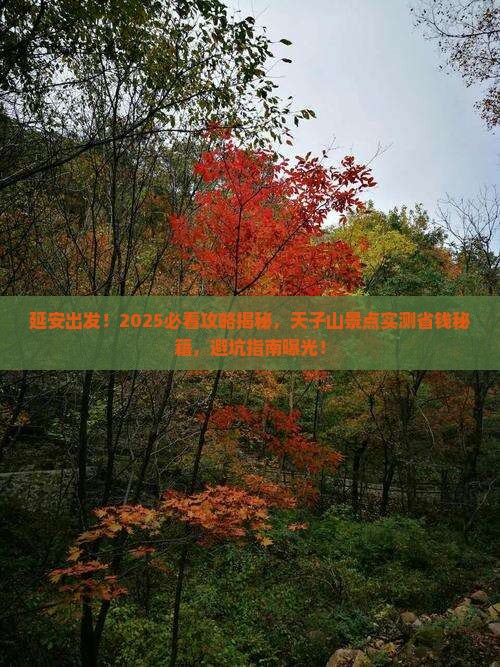 延安到张家界天子山景点