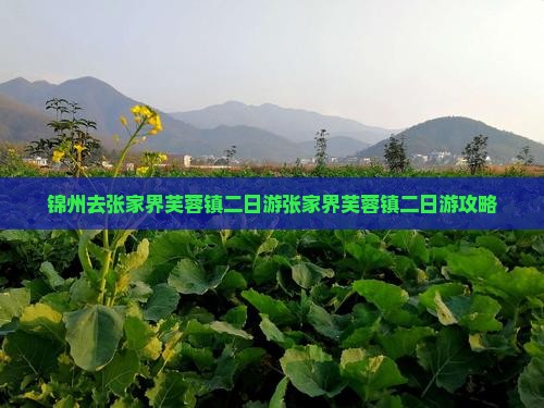 锦州去张家界芙蓉镇二日游