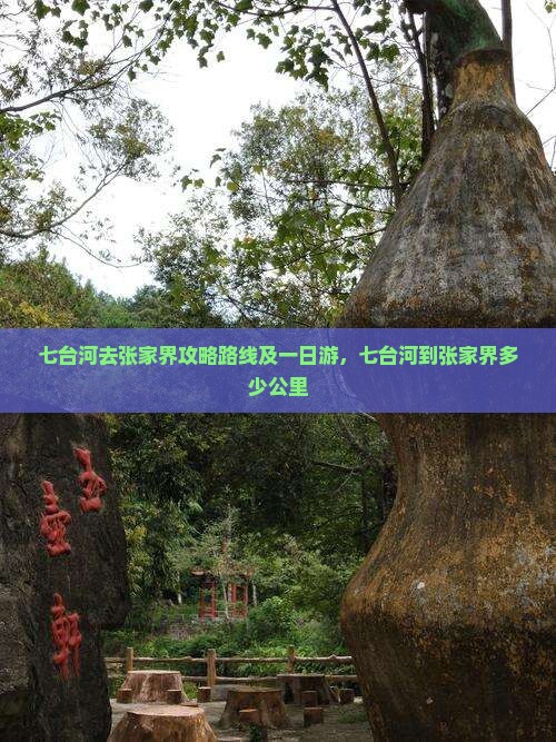 七台河去张家界攻略