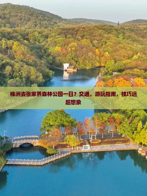 株洲去张家界森林公园一日