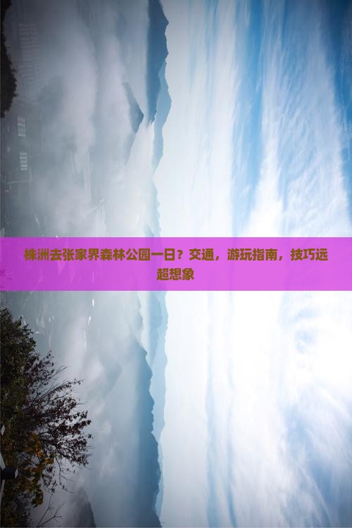 株洲去张家界森林公园一日