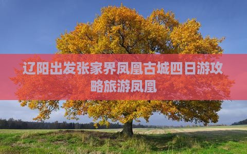 辽阳去张家界凤凰古城四日游