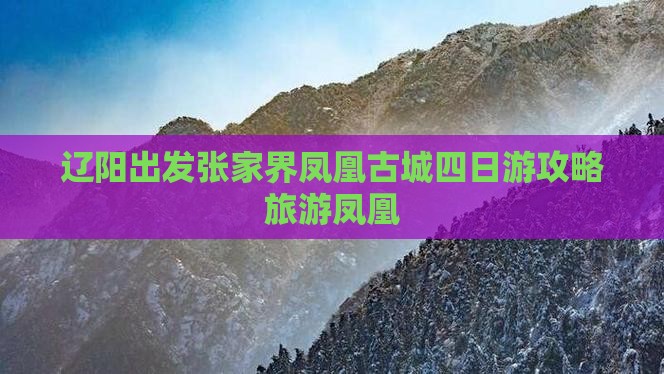 辽阳去张家界凤凰古城四日游
