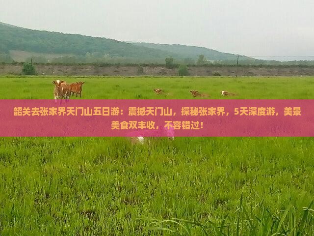 韶关去张家界天门山五日游