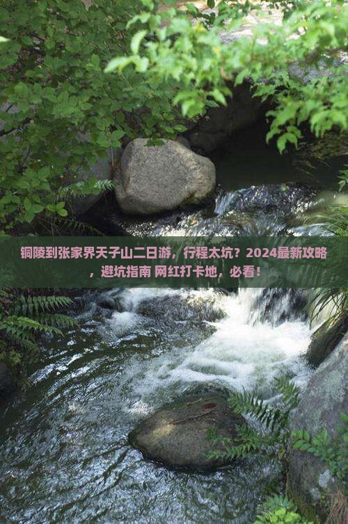 铜陵到张家界天子山二日游