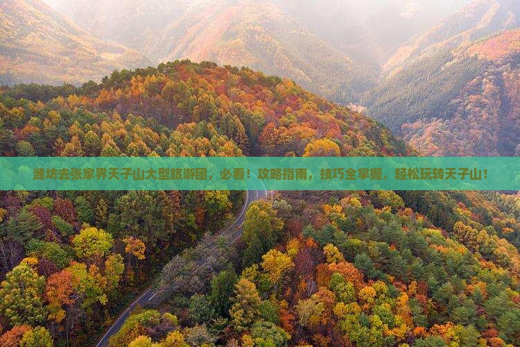 潍坊去张家界天子山大型旅游团