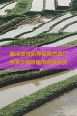 临汾去张家界凤凰古城门票