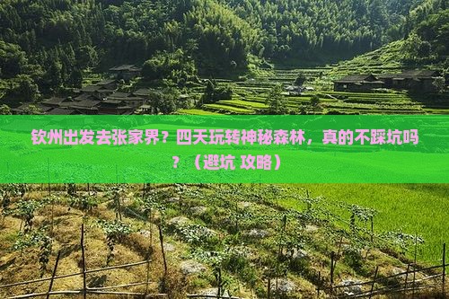 钦州去张家界森林公园四日游