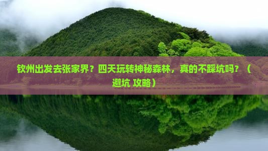 钦州去张家界森林公园四日游