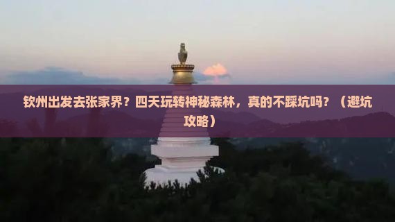 钦州去张家界森林公园四日游