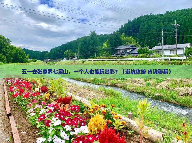 劳动节到张家界七星山个人游