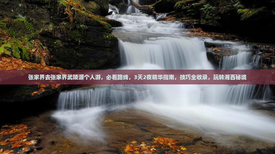 张家界去张家界武陵源个人游