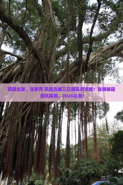 铜陵去张家界凤凰古城三日游