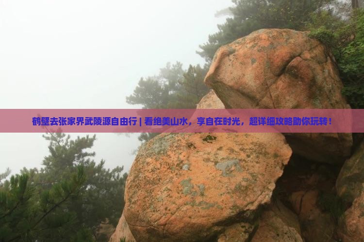 鹤壁去张家界武陵源自由行